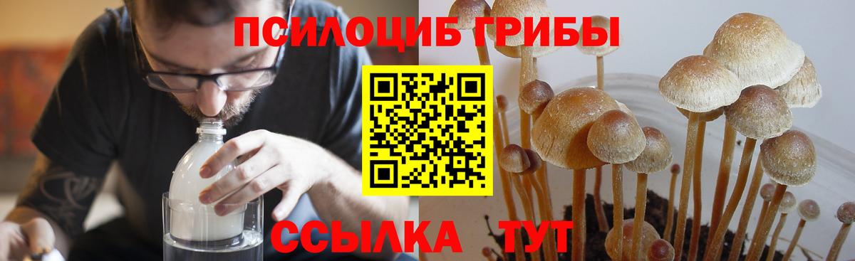 Лангепас  Галлюциногенные грибы ЛСД  Вход с VPN  Псилоцибиновые грибы мухоморы 